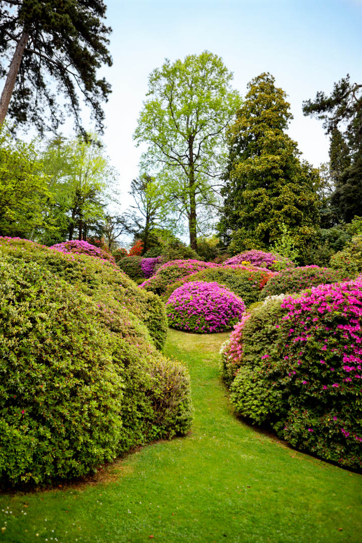Jardin de la Villa Carlotta