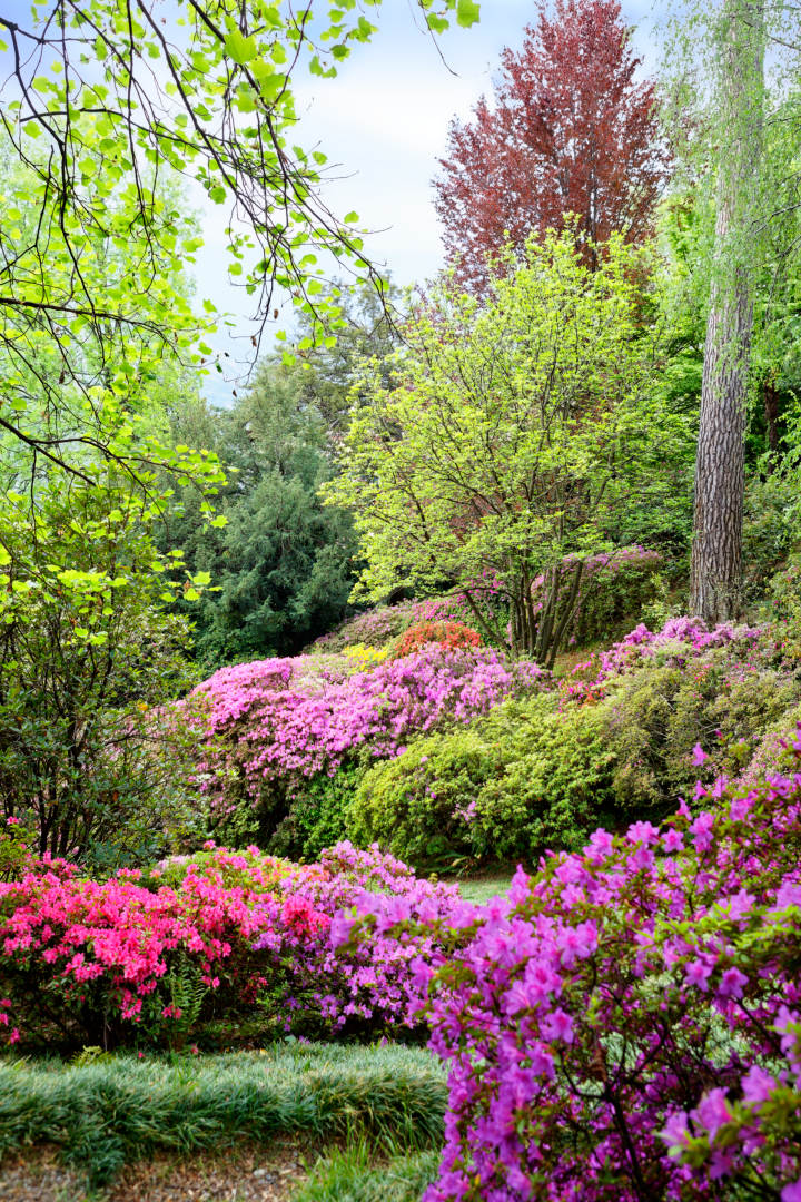 Jardin de la Villa Carlotta
