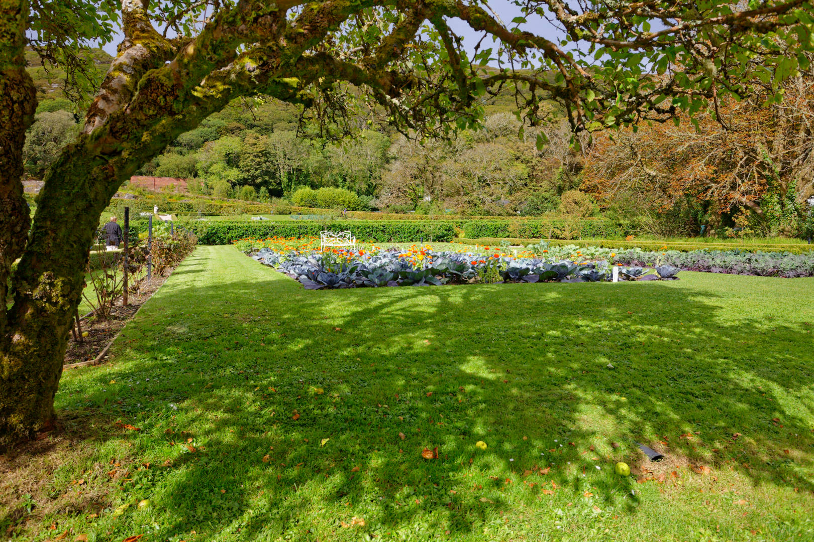 Jardin de Kylemore Abbey