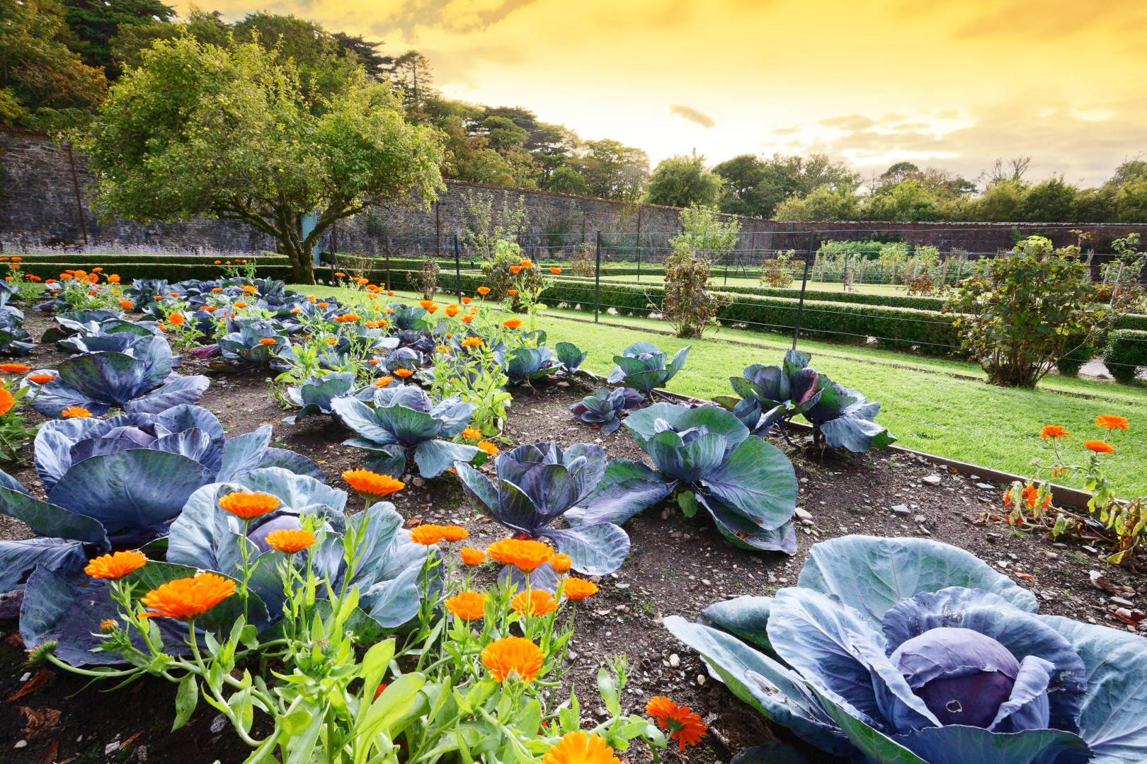 Jardin de Kylemore Abbey