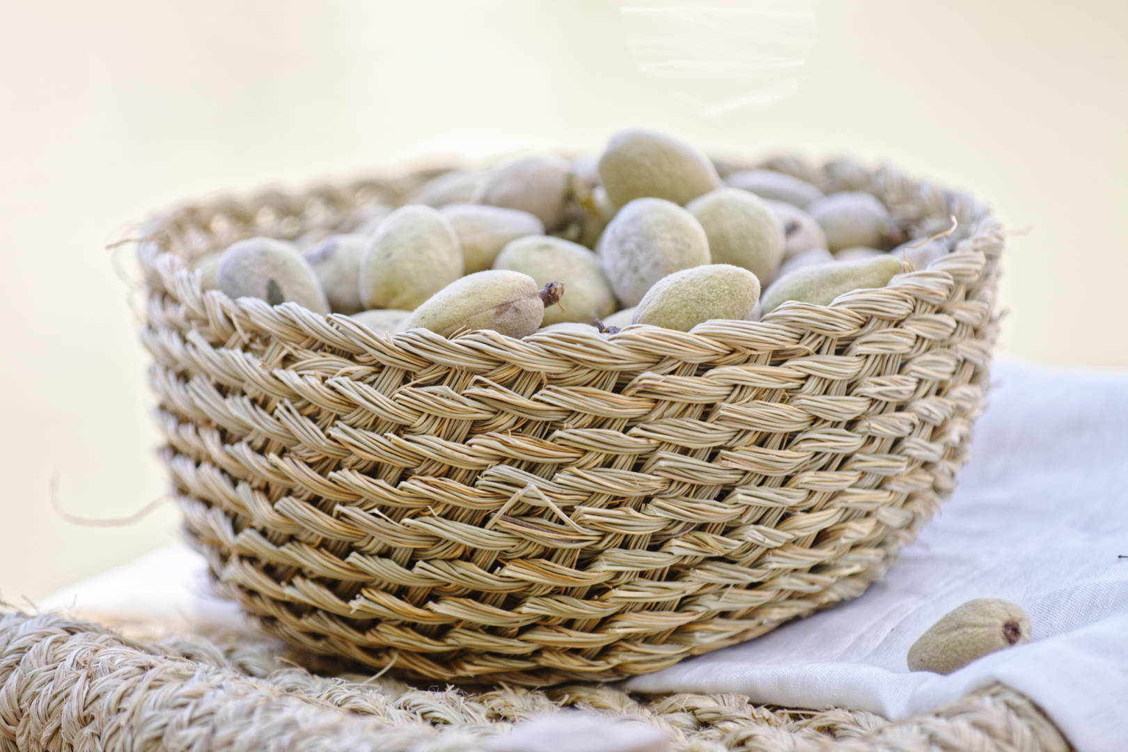 Salon Côté Sud, Aix-en-Provence