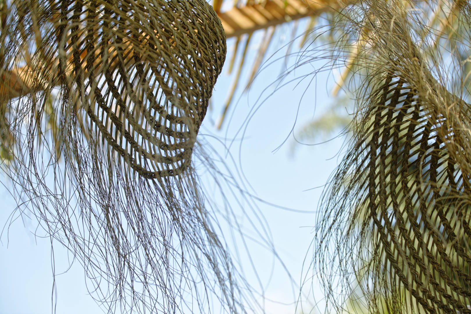 Salon Côté Sud, Aix-en-Provence