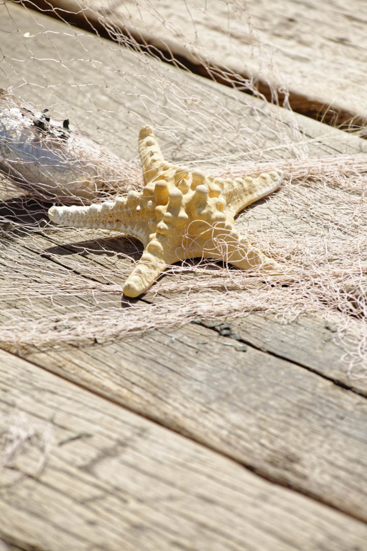 Salon Côté Sud, Aix-en-Provence