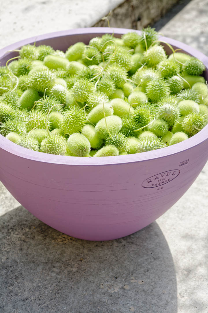 Salon Côté Sud, Aix-en-Provence