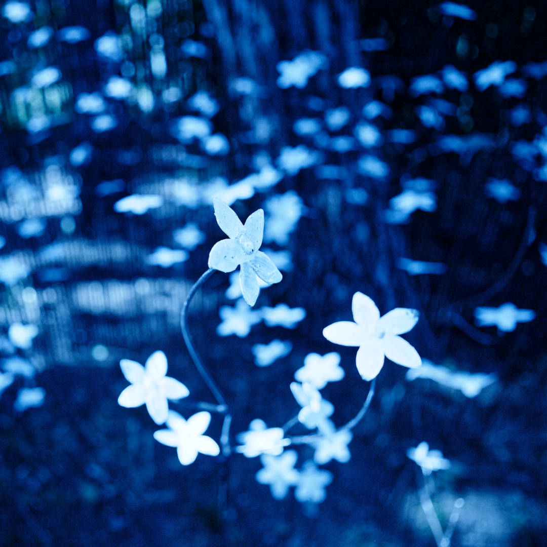 Salon Côté Sud, Aix-en-Provence