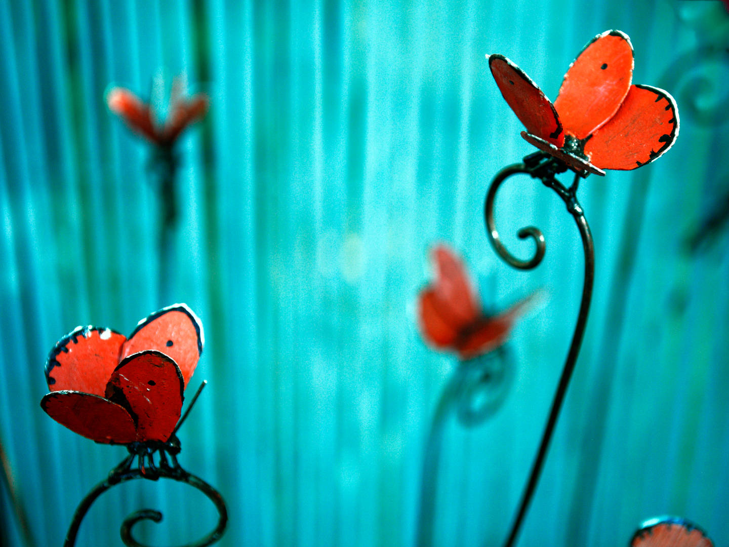 Salon Côté Sud, Aix-en-Provence